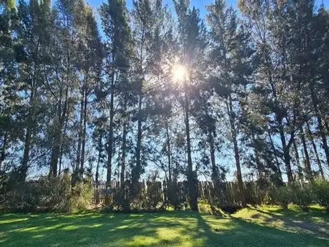 LOTE EN VENTA ALTOS DE BRANDSEN