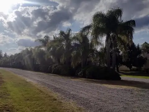 LOTE EN VENTA ALTOS DE BRANDSEN