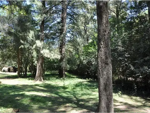 Chingolo y Derqui- La Lonja