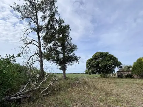 Venta de campo mixto en la Sarita