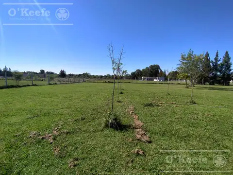 QUINTA EN VENTA - 6000 MTS CON PILETA EN ABASTO