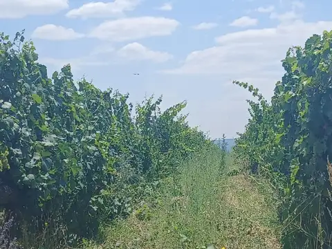 VENTA DE FINCA