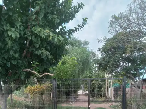 rodriguez peña 8000