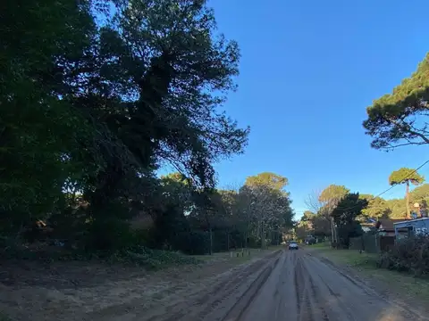 Sebastian El Cano 100