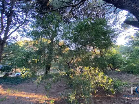 Terreno en Venta de 525,0 m2