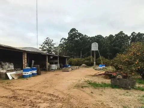 70 Hectáreas. Quinta con Empaque y Casa