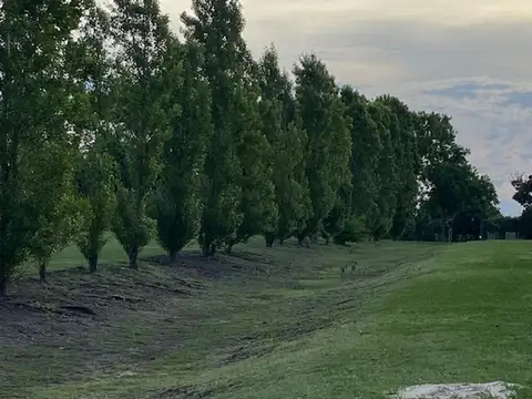 Casa en Alquiler 7 años