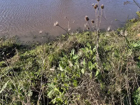 VENTA CHACRA CON CASA SANTA ROSA CANELONES
