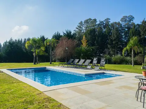 Mariano Castex 10000
