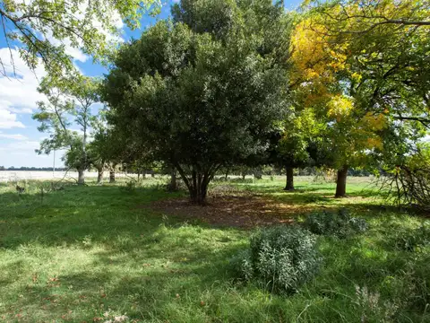 Terreno en Venta en San Antonio de Areco, USD 195.000
