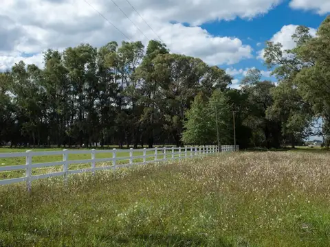 Venta Lote - La Olvidad - Altos de Areco