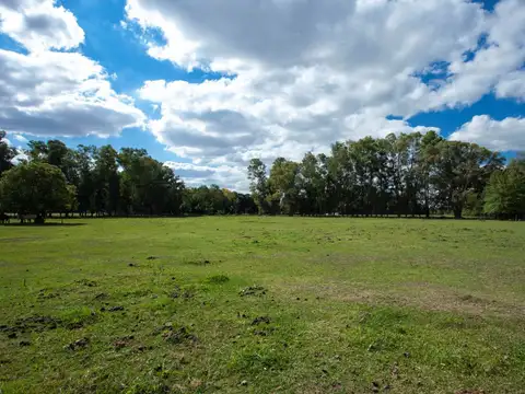 Terreno en Venta en San Antonio de Areco, USD 195.000