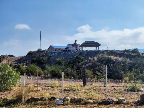 Ruta 7 Potrerillos Lujan de Cuyo Mendoza