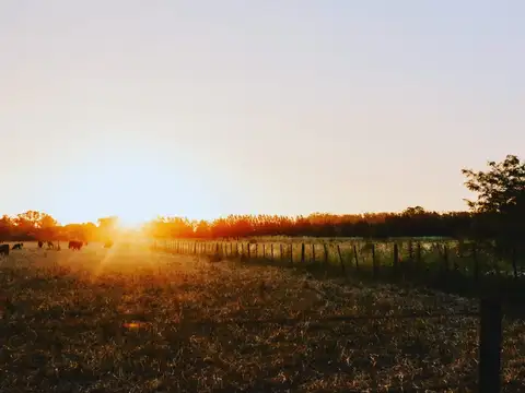 34°42'41.6"S59°18'10.8"W