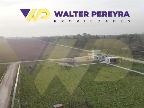 Consultar dirección