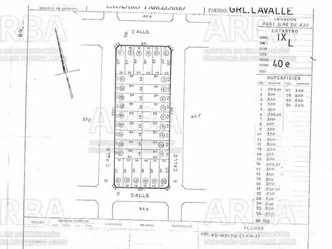| LOTE DE 300 MTS | |PAVON GARITA 5|