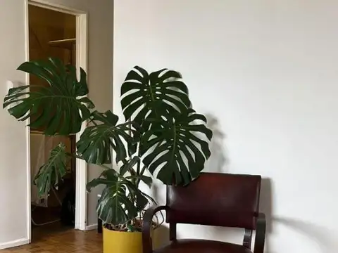 Departamento en Alquiler Temporal de Monoambiente