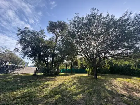 Terreno en Venta de 825,0 m2