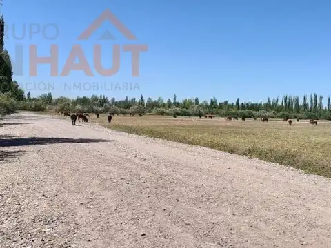 Terreno en Venta 12  mts Frente