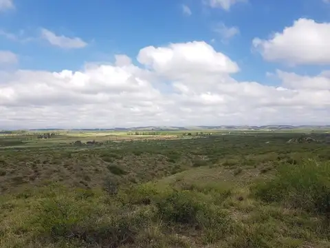 Terreno en Venta en Tupungato, USD 100.000