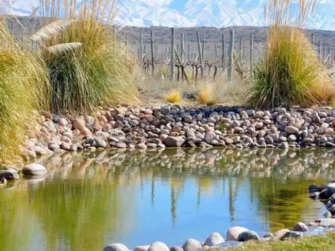 La Costa Gualtallari