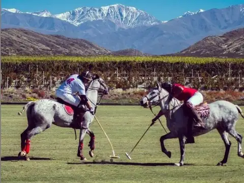 Terreno en Venta de 5243,0 m2