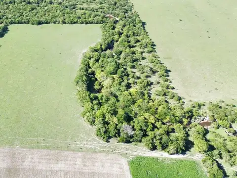 Vendo Campo de 14 Hectáreas en Pronunciamiento, Entre Ríos.