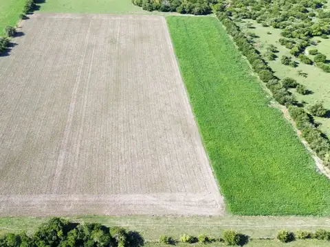 Vendo Campo de 14 Hectáreas en Pronunciamiento, Entre Ríos.
