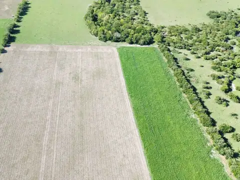 Vendo Campo de 14 Hectáreas en Pronunciamiento, Entre Ríos.