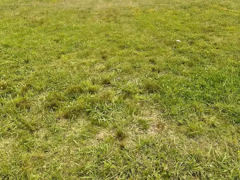 Terreno en Venta en Los Cardales, USD 50.000