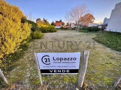 OPORTUNIDAD VENDEMOS 2 LOTES CONTIGUOS DE 10x40 EN CLAROMECO