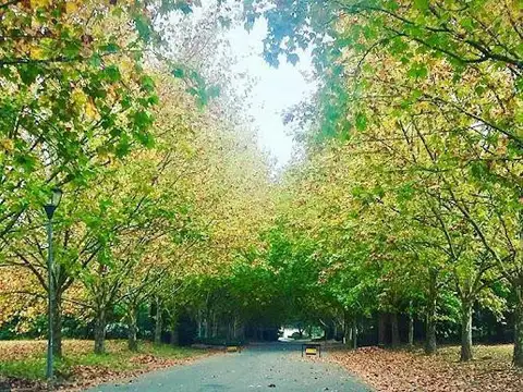 Perón  al 2300, Martindale C.C.