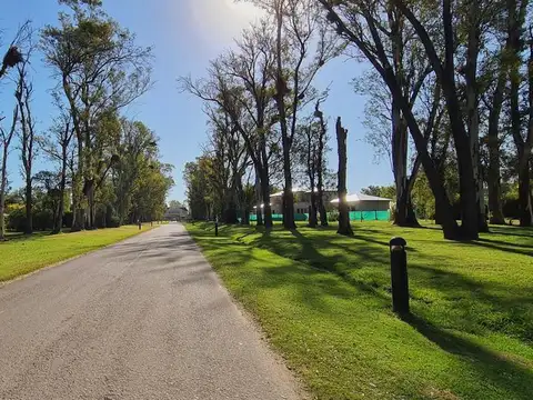 Terreno en Venta 60  mts Fondo