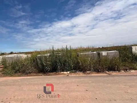 Manzana 85