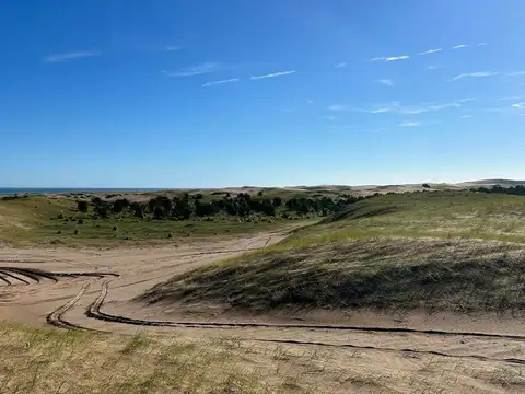 VENTA CAMPO DE 82 HA EN MEDANO BLANCO NECOCHEA