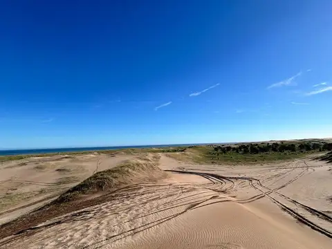 VENTA CAMPO DE 82 HA EN MEDANO BLANCO NECOCHEA