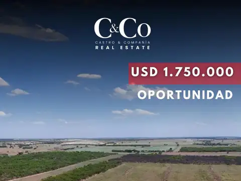 SE VENDE POTENCIALES 155 HAS SOBRE RUTA EX RURAL N°7- VILLA MERCEDES, SAN LUIS