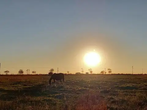 CHACRA - FRACCIÓN 6 HAS CON IMPORTANTE FRENTE A LA AUTOVIA ENTRE LUCILA DEL MAR Y AGUAS VERDES