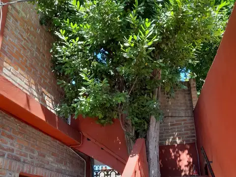 Caseros