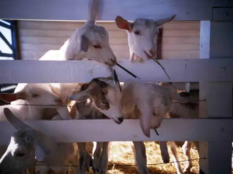 Campo Gral. Rodriguez, ideal MULTIPLES ACTIVIDADES