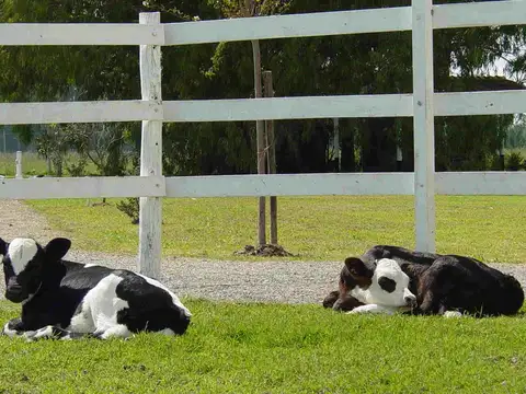 Mar del Plata al 100