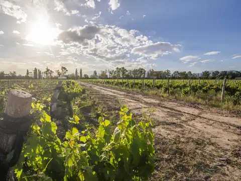 Campo en Venta de 29  ha