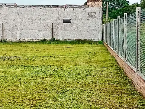 Colonia benitez