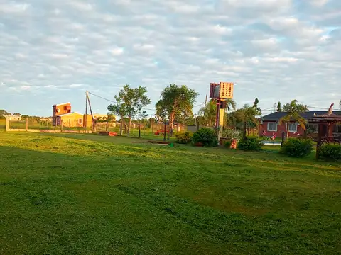 Colonia benitez