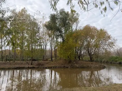 Lote en Venta, Cornamusa