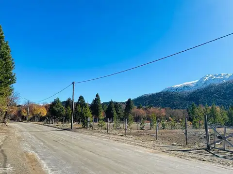 Moquehue, La Bella Durmiente