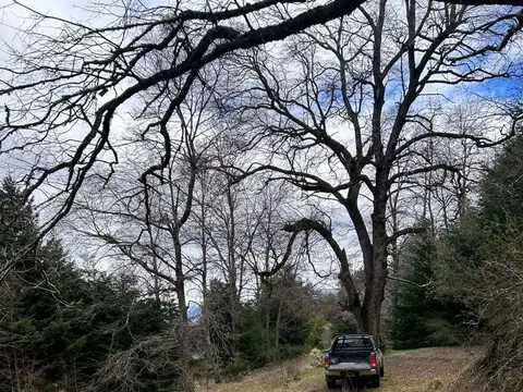 Terreno en Venta en San Martín de los Andes, USD 110.000