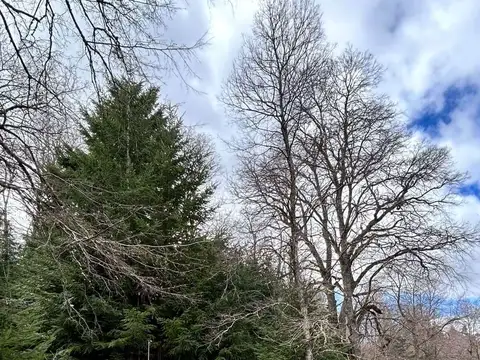 Terreno en Venta en San Martín de los Andes, USD 110.000