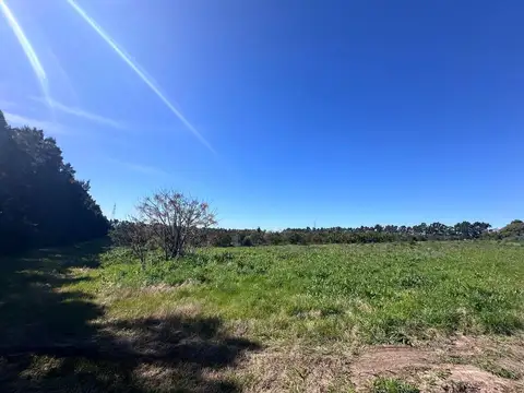 Camino Garcés 3800