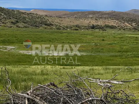 VENTA CAMPO.Lag Palacio.120km de Sarmiento 15000ha